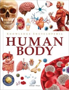 Knowledge Encyclopedia – Human Body