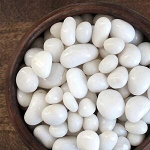 5Kg Natural Polished White Pebbles (White Polished) Smooth for Plants, Aquariums,Terrarium,Succulents,Garden Pots,Bamboo Plants & Multi Purpose Pack (5 Kg, 30-50 mm, White Polished)