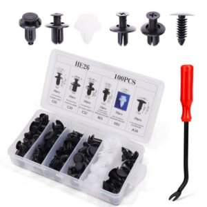 100 PCS Bumper Retainer Clips Car Rivets Fasteners Retainer Kit and 1 Fastener Removers Most Popular Sizes Auto Push Pin Rivets Set -Door Trim Panel Fender Clips for GM Ford Toyota Honda Chrysler