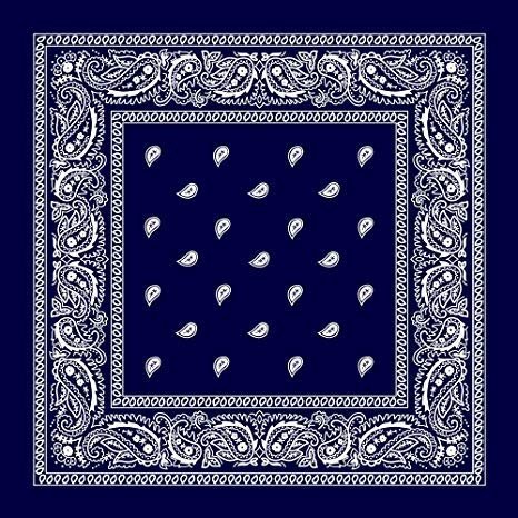 BISMAADH Unisex Cotton Paisley Printed Cowboy Bandanas