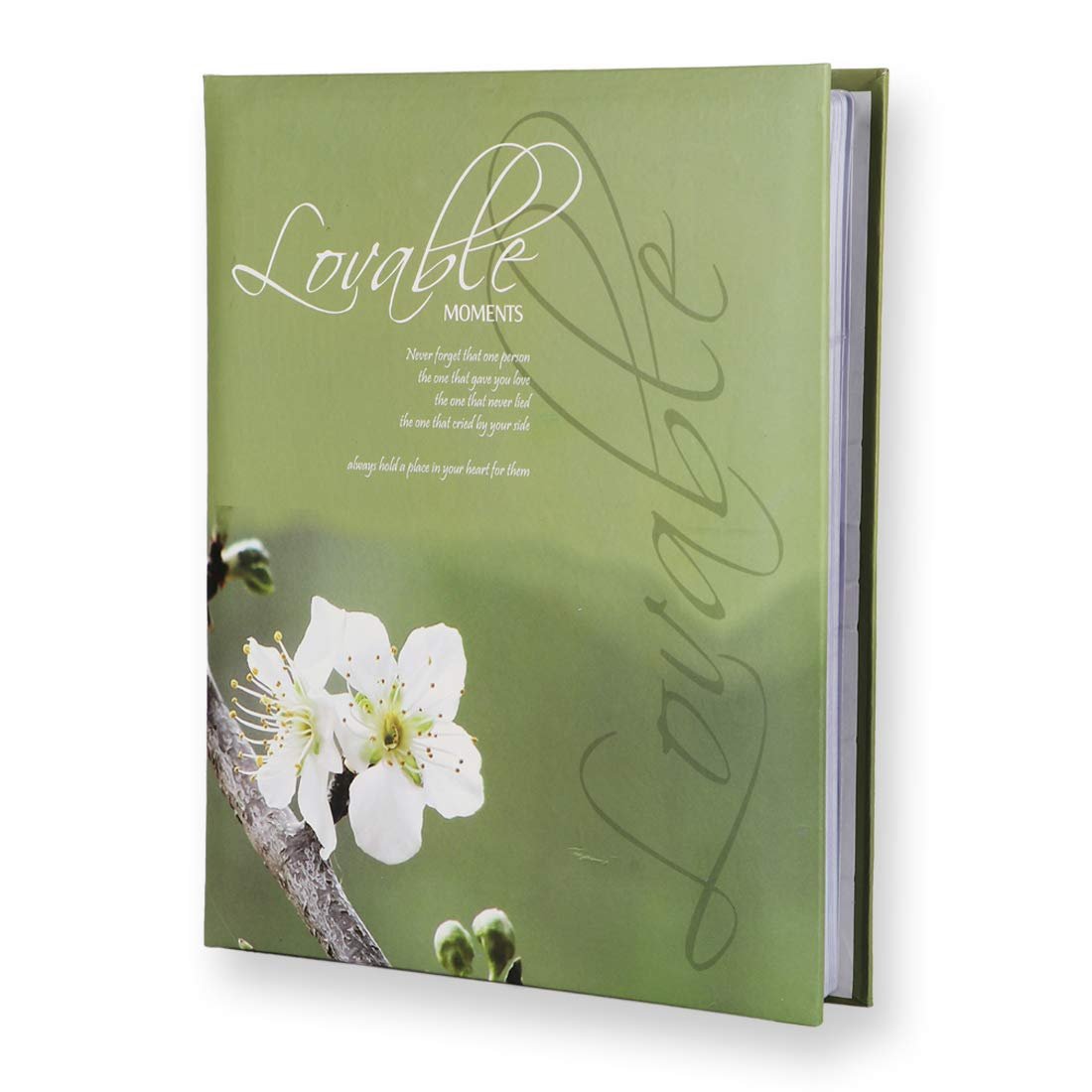 Sehaz Artworks Green Photo Album For Photos Collection 5×7 Holds 100 Photos