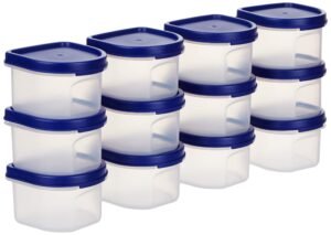 Amazon Brand – Solimo Plastic Storage Containers with Lid, Set of 12 (250ml each), Blue