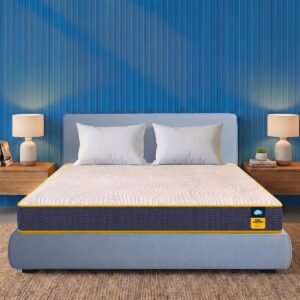 Centuary Mattresses Sleepables Reversible Dual Comfort Firm and Soft High Resilience Foam 8 inch Single Mattress (72x60x8)