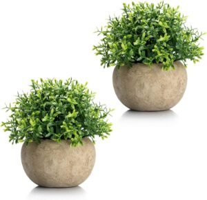 Dekorly® Artificial Plants Fake Mini Potted Plant Small Greenery Decor for Indoor Home Farmhouse Aesthetic Bedroom Shelf Office Desk Bathroom Decoration (Brown, Height : 16CM)