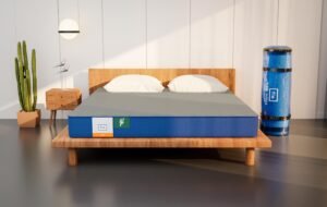 Flo Ergo™ Mattress | Aloe Vera Infused Memory Foam Mattress with Motion Isolation™ Technology | Medium Soft Feel | 6 inch Mattress in King Size (78x72x6) | 10 Year Warranty- Grey Colour