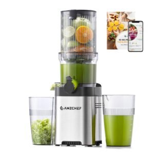 AMZCHEF Cold Press Juicer, Juicers Machines – 5.4″ Large Feed Chute for Whole Fruits & Vegetables, Stainless Steel Slow Masticating Juice Easy to Clean, Large Auger, Triple Strainers, Silver