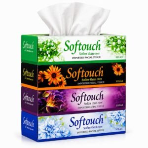 Softouch Super Soft 2 Ply Facial Tissue Paper Box Pack of 4 | 100 Pulls X 4 Car Tissue Box | Soft on Skin | 100% Virgin Paper