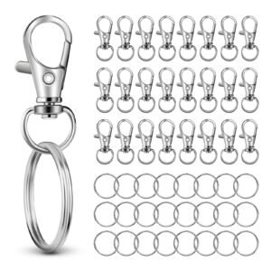 50 PCS in 25 Sets, Metal Swivel Lobster Claw Clasps, Keychain Lanyard with Large Key Ring, Premium Keychains Clips, Snap Hooks and Sturdy Key Rings, for Keychain Wristlet, Crafts, HnoaTovy. (Silver)