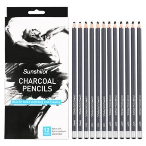 Sunshilor Professional Charcoal Pencils Drawing Set – 12 Pieces Soft Medium and Hard Charcoal Pencils for Drawing, Sketching, Shading, Artist Pencils for Beginners & Artists