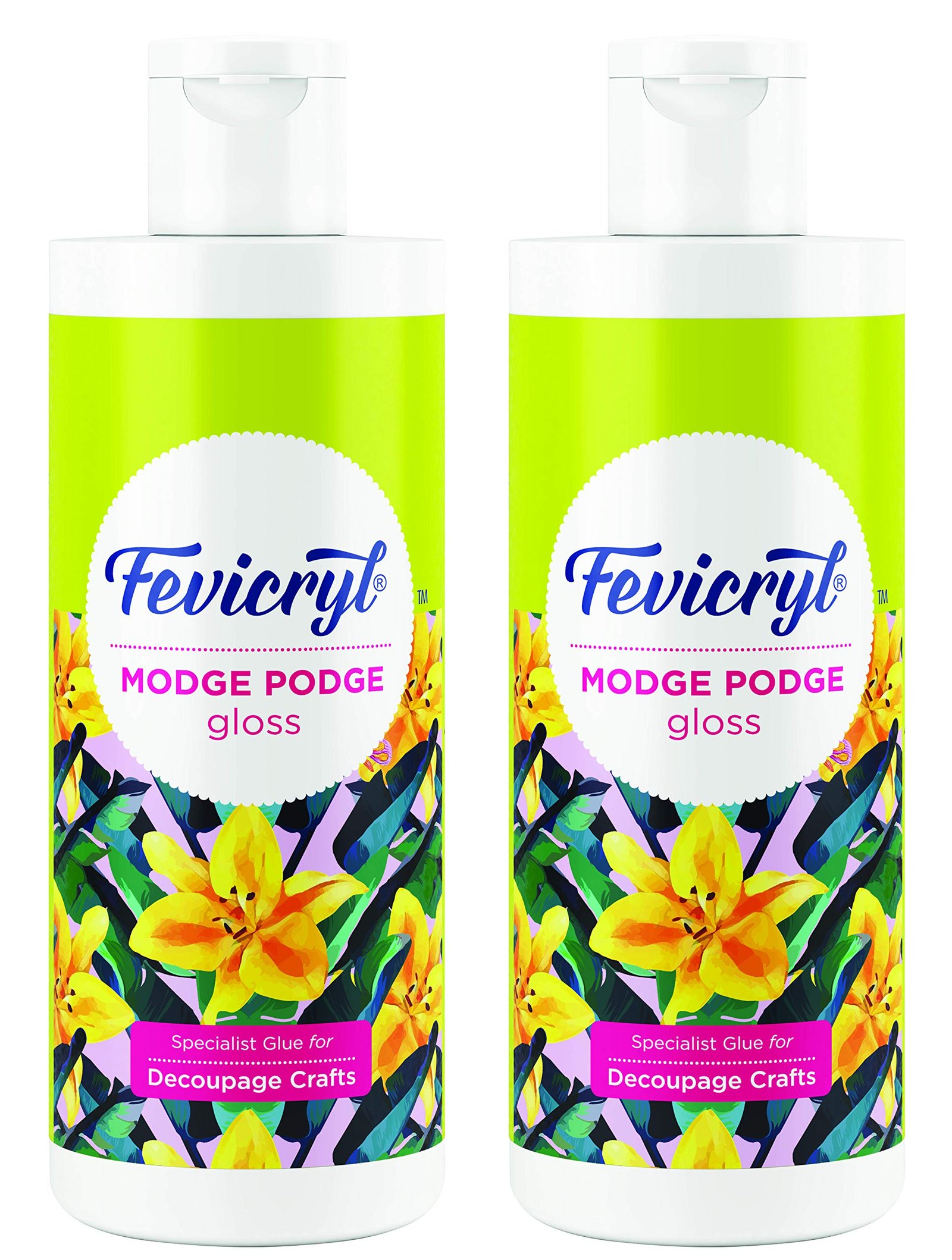 Fevicryl Modge Podge Gloss, 120ml, Pack of 2 | Multi-substrate including wood, glass, MDF, fabrics, metals | DIY, Art & Craft | Easy to use
