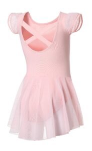 DIPUG Ballet Leotards for Girls Dance Leotard Toddler with Skirt Ballet Dress