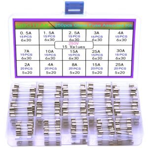 250pcs Quick Blow Glass Tube Fuse Assorted Kit 250V 0.5A, 1.5A, 2.5A, 3A, 4A, 7A, 10A, 15A, 25A, 30A, 6x30mm, 250V 2A, 4A, 8A, 15A, 25A, 5x20mm Ted Lele (5x20mm and 6x30mm)