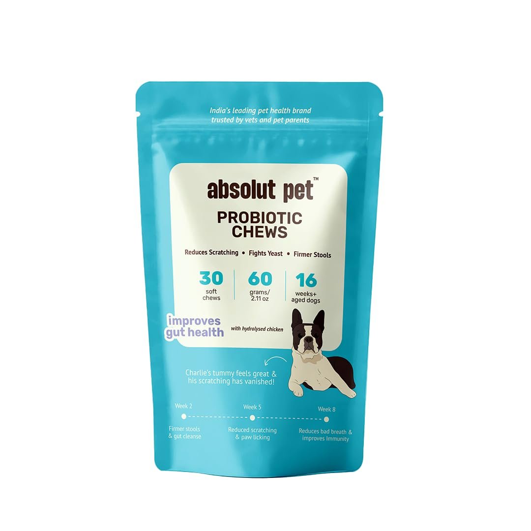 Absolut Pet Probiotic Gut Health Chews for Dogs |30 Chews