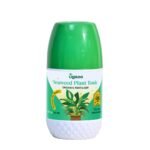 UGAOO Liquid Seaweed Fertilizer Concentrate for Plant – Growth Booster & Plants Tonic (250 ml)
