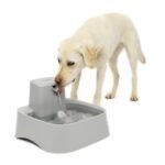 PetSafe Drinkwell 2 Gallon Dog and Cat Water Fountain, Best for Large Dog Breeds and Multiple Pet Households, Easy-to-Clean Design, Filters Included