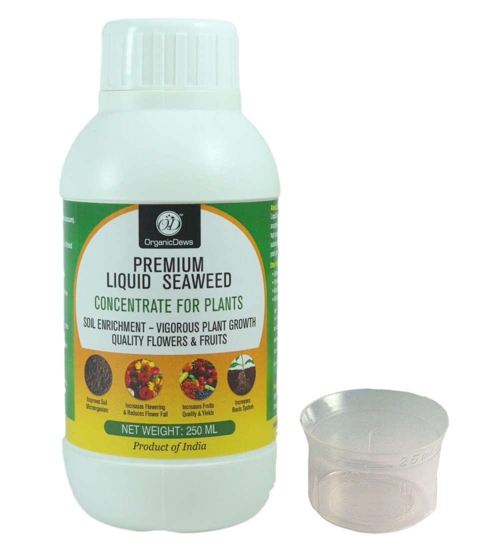 OrganicDews Liquid Seaweed Concentrate for Plants 250 ml with Measuring Cup 25 ml Fertilizer for All Indoor and Outdoor Plants