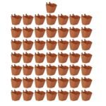 CAPPL Plastic Vertical Garden Wall Hanging Pot, 50 Pcs – Terracotta Color for Home, Office, Indoor, Outdoor, Balcony