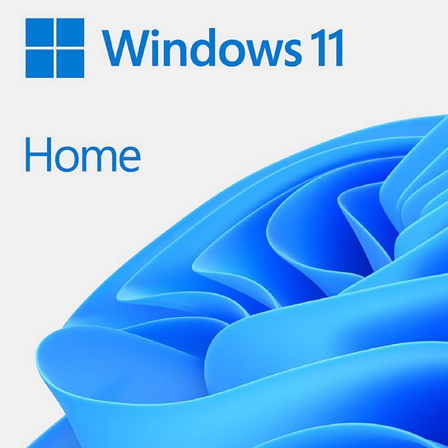 Microsoft Windows 11 HOME 64 Bit OEM DVD Lifetime