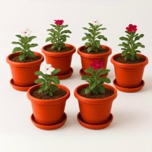 Kraft Seeds 10 Inch Pack of 6 Flower Pots for Garden with Bottom Plate & Drainage Hole,Plastic Pot for Plants,Indoor & Outdoor- Planters for Balcony,UV Treated Gamla for Plants,Round Plant Pot,Red