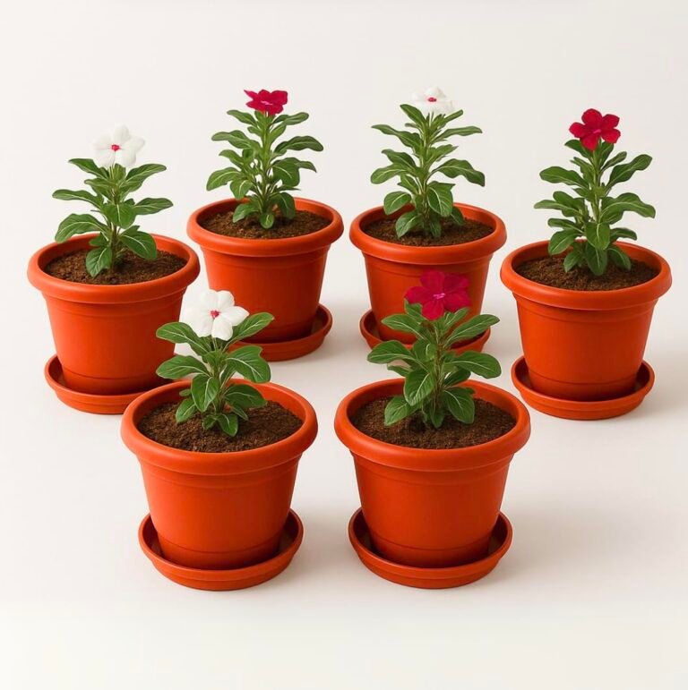 Kraft Seeds 10 Inch Pack of 6 Flower Pots for Garden with Bottom Plate & Drainage Hole,Plastic Pot for Plants,Indoor & Outdoor- Planters for Balcony,UV Treated Gamla for Plants,Round Plant Pot,Red