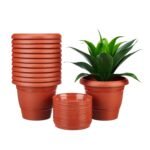 Amazon Brand – Solimo Round Pots for Plants with Bottom Tray|Lightweight|Indoor and Outdoor Flower Pot for Home/Office/Table/Garden/Balcony Decoration|8 inch (Set of 12), Brown