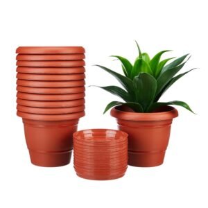Amazon Brand – Solimo Round Pots for Plants with Bottom Tray|Lightweight|Indoor and Outdoor Flower Pot for Home/Office/Table/Garden/Balcony Decoration|8 inch (Set of 12), Brown