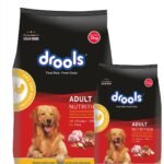 Drools Adult Dry Dog Food 4.2kg (3kg + 1.2kg Free) | Chicken & Egg Flavour | Supports Active Behaviour | Digestive Health & Immunity | Better Digestibility