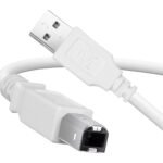 Zebronics USB Type-A to Type-B Printer Cable, 3 Meters, 480Mbps High-Speed Transfer, Nickel-Plated Connectors, Full Copper Core, for Printers, Scanners & Other Devices (PC30P)