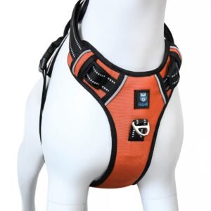HANK Dog Harness | 3M Reflective Pet Belt | Strong Metal Hook | Dog Body Belt | No Pull Vest Harness for Walking & Training (Neon Orange, Small)