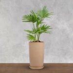 BonKaso 18 inch Beige Flower Pot – Tall, Durable & Lightweight Polymer Tower Planter for Indoor & Outdoor Use: Home, Office, Garden & Balcony (Gamla/Gamale)