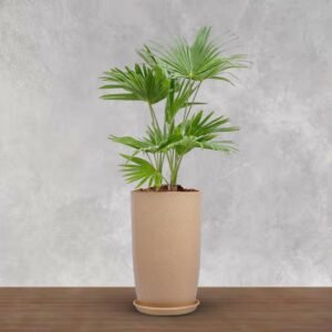 BonKaso 18 inch Beige Flower Pot – Tall, Durable & Lightweight Polymer Tower Planter for Indoor & Outdoor Use: Home, Office, Garden & Balcony (Gamla/Gamale)