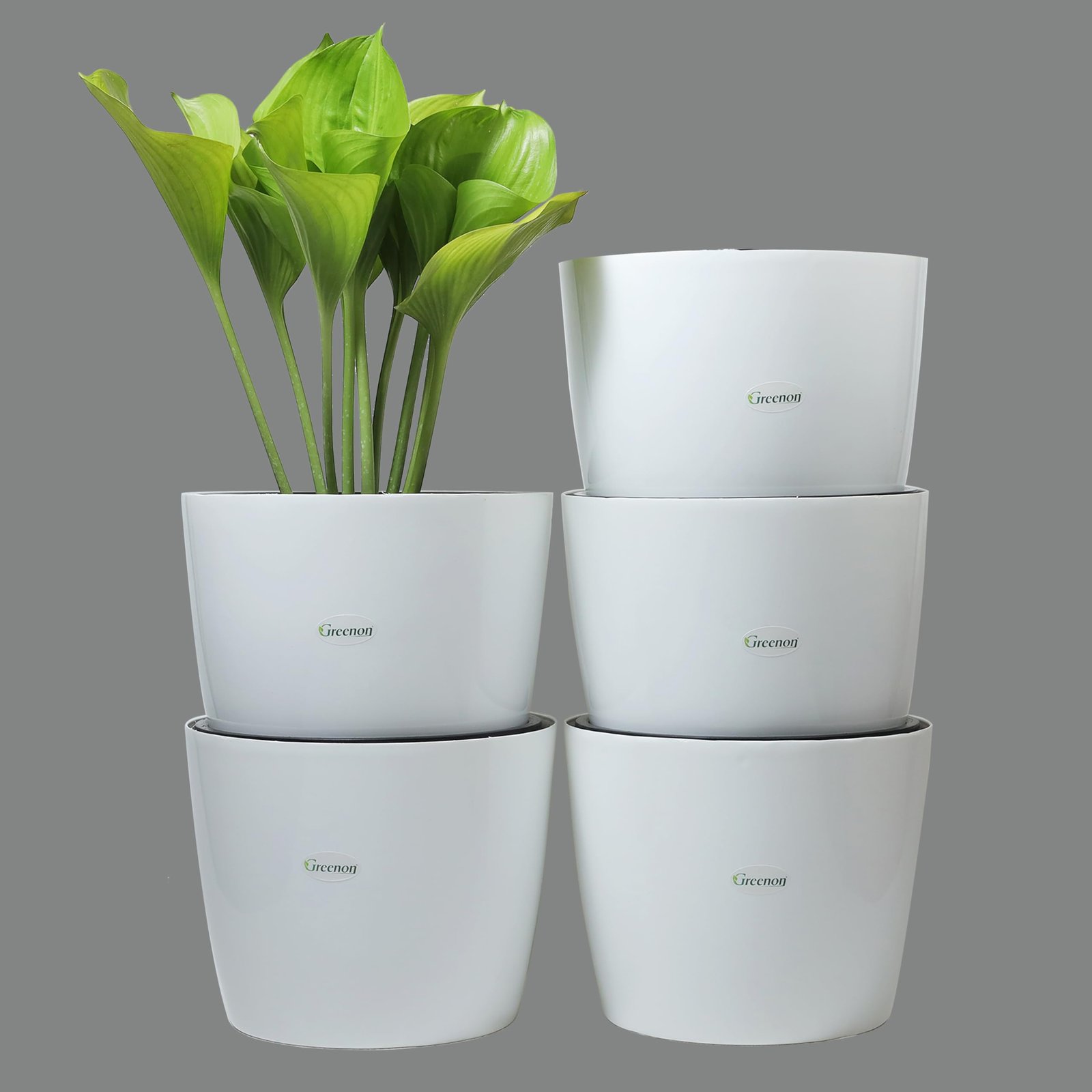 GREENON® 10 Inch Plant Pot Pack of 5 (10 Pots) Self Watering | White Outer and Black Inner Flower Pot | UnFadable Planter | Suitable for Indoor and Balcony Plants | Low Maintenance Gamla