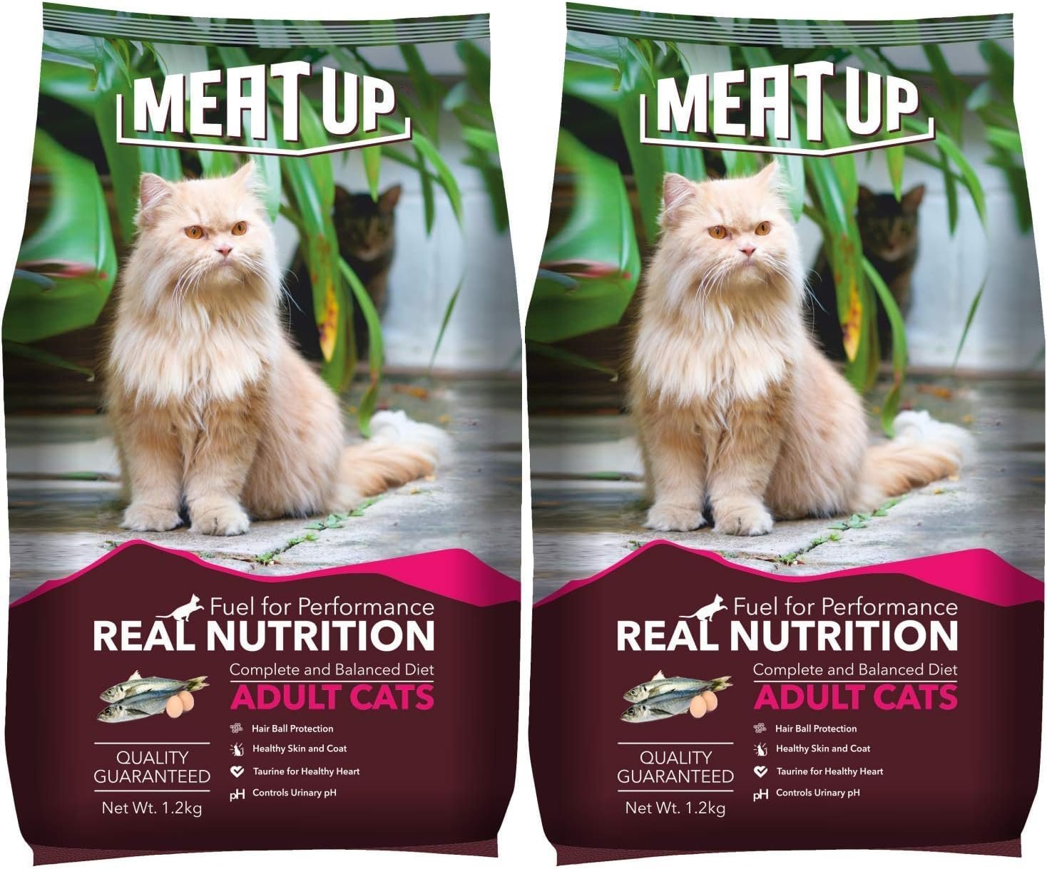 Meat Up Adult Dry Cat Food (2 x 1.2kg) Total 2.4Kg | Ocean Fish Flavour | Maintains Urinary pH | Hair Ball Protection | Healthy Skin & Coat | Taurine for Healthy Heart