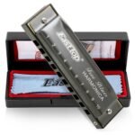 East top Harmonica, Blues Diatonic Armonica Mouth Organ Key of C, 10 Holes 20 Tones Harmonica For Adults, Kids, Beginners, Professionals and Students（Silver grey）
