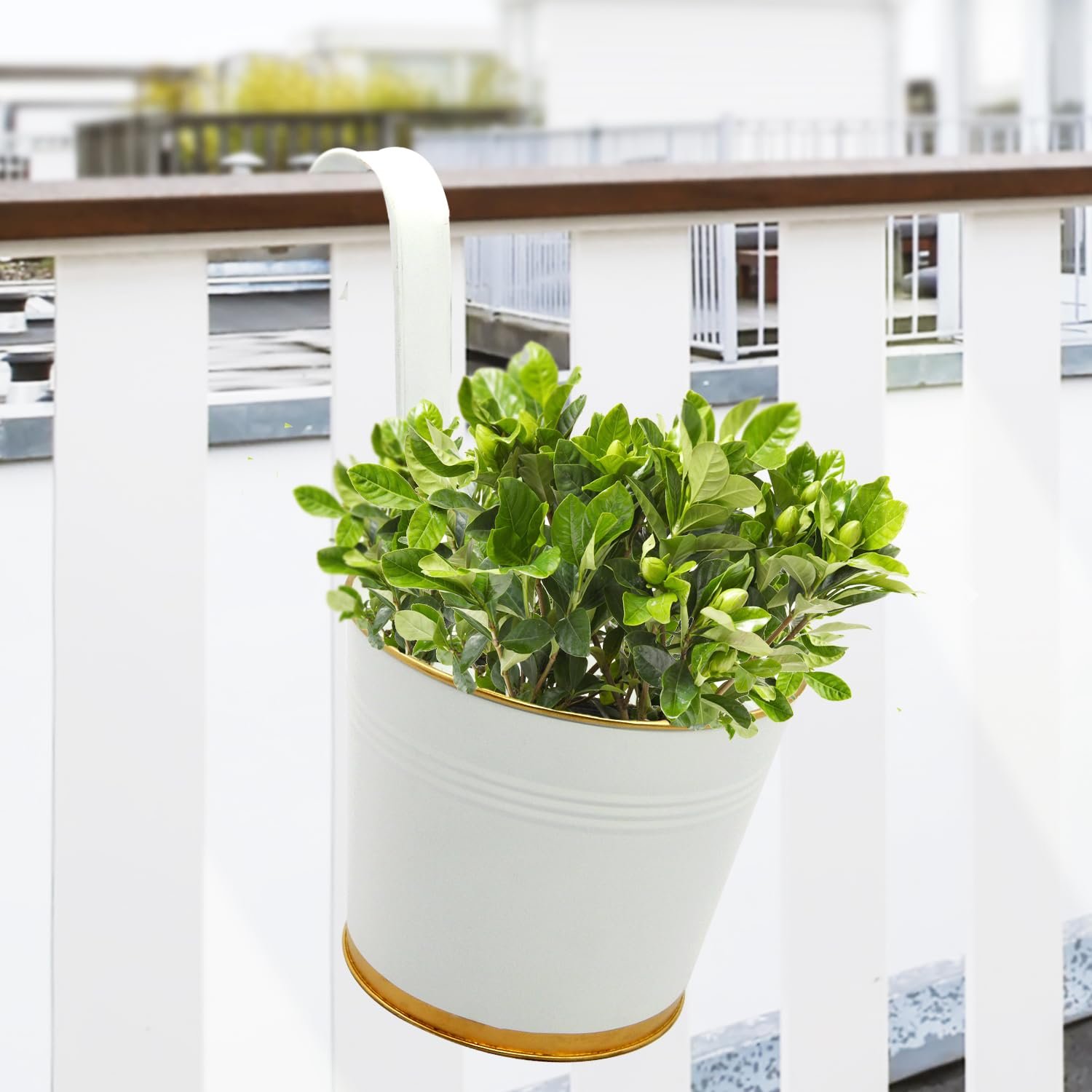 ecofynd 7 Inches Halley Railing Planters for Balcony, Hanging Pots for Plants, Wall Hanging Decorative Planters for Vertical Garden, Pack of 1 (White)