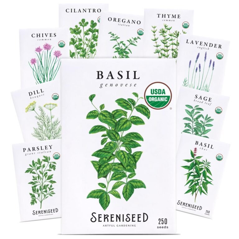 Sereniseed Certified Organic Herb Seeds (Pack of 10) – GMO, Heirloom – Seed Start Video – Basil, Coriander, Oregano, Thyme, Parsley, Lavender, Chives, Sage, Dill Seeds for Indoor and