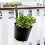 ecofynd 7 Inches Halley Railing Planters for Balcony, Hanging Pots for Plants, Wall Hanging Decorative Planters for Vertical Garden, Pack of 1 (Black)
