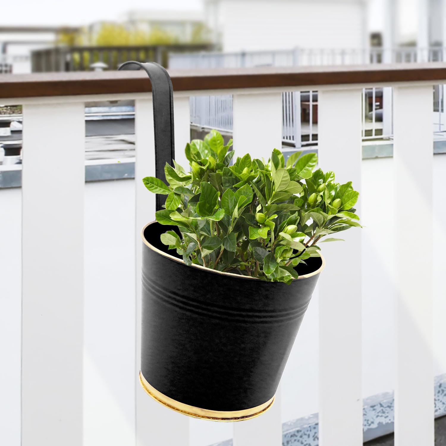 ecofynd 7 Inches Halley Railing Planters for Balcony, Hanging Pots for Plants, Wall Hanging Decorative Planters for Vertical Garden, Pack of 1 (Black)