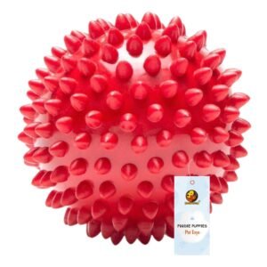 Foodie Puppies Natural Rubber Spike Ball – 2.8inch/ 7cm | Suitable for Small to Medium Dogs | Chewing, Teething, and Training Bouncy Ball Toy