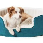 Petslover Warm Fleece Winter Beds Round Shape Reversible Ultra Soft Ethnic Designer (Export Quality) Bed with Cushion Pillow for Dog/Cat (Sky Blue, Small)
