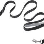 amazon basics Double Handle Light Reflecting Dog Leash, Black, 6