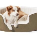 Petslover Warm Fleece Winter Beds Round Shape Reversible Ultra Soft Ethnic Designer (Export Quality) Bed with Cushion Pillow for Dog/Cat (Beige, Small)