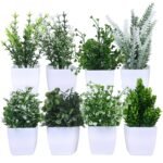 amazon basics Artificial Plants with Pot| Multi Variety | Durable Plastic | No Maintenance | Home Decor | Dimensions: 5 cm X 13 cm (Pack of 8)