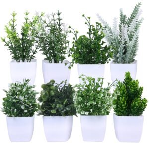 amazon basics Artificial Plants with Pot| Multi Variety | Durable Plastic | No Maintenance | Home Decor | Dimensions: 5 cm X 13 cm (Pack of 8)